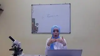 L karnitin aminokislotasi