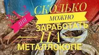 Металл подорожал, 22 рубля!!! Копаю каждый день. Заработок на металлокопе в 2022 году.