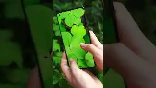 OPPO Find X5 series, true to nature #shorts