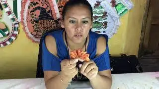 FLOR DE NOCHE BUENA bordado con cintas por miss Angy Galindo