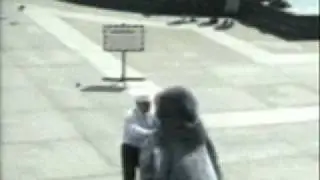 Big Pigeon Attack