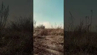 Туман над Окой 