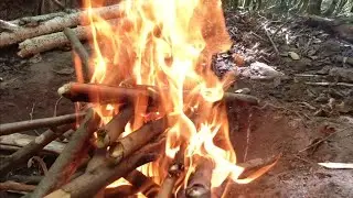 Bushcraften mit Kochen