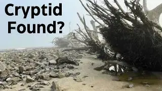 The Mysterious Mud Mermaids of Vevay: Indiana's Hidden Cryptids!