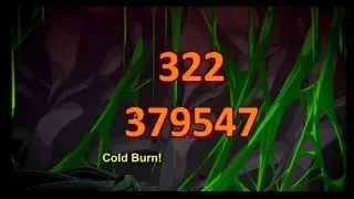 AQW How to use Evolved Shaman / Combos, Enhancements, Tips