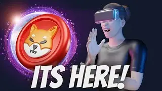 Shiba Inu Rocket Pond Reveal This Is Top Quality
