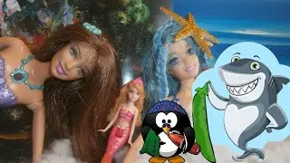 ŠKOLICA PLIVANJA... ili si boranija, ili si ajkula