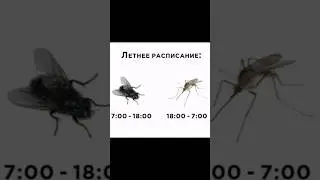 Как вам такая музыка? #юмор #прикол #жиза #шортсы #видео #ютубшортс