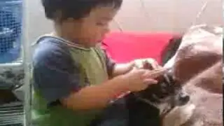 el bebe gracioso