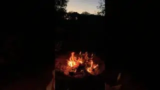 Обо всём и ни о чём #enduro #nature #лес #природа