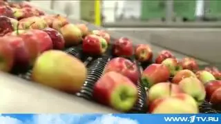 Россия полностью отказывается от продуктов содержащих ГМО 18 09 15 Новости Украины сегодня