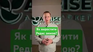 Як виростити гарний редис взимку! Порада агронома