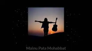 ve me tere piche yaara ninni pagal ya female voice status