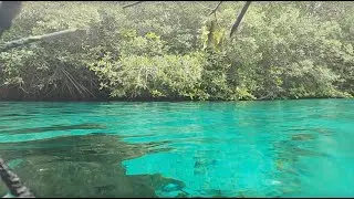 Swimming in the amazing Casa Cenote - Tulum, Mexico