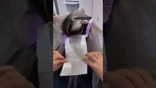 Platinum Card Hair Technique 