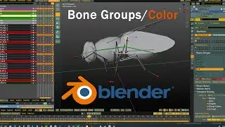Bone Groups & Bone Colors in Blender
