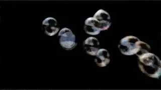 Bubbles - sketch style - MagicVideoArt
