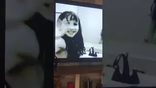 Reactions to horror films 
