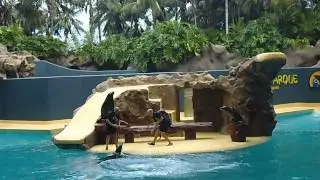 Tenerife - Loro Parque - Sea Lions Show