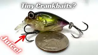 These TINY Crankbaits Catch BIG Bass! Try Them!