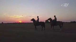 зарисовка