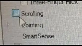 how to enable touchpad scrolling in hp notebook pentium n3710