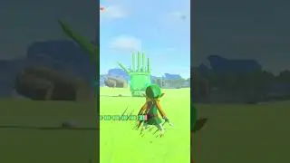 Making Buddha's Palm In Zelda:Tears of The Kingdom