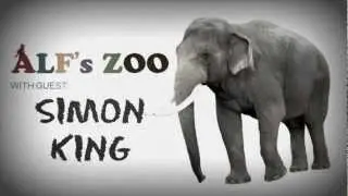 Zoo Bits - King on IT