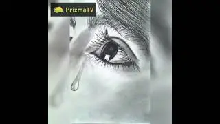 söz və səs: MİRƏSGƏR / DİVANƏ KİMİ