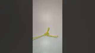 узел австрийский проводник 