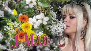 Гарик Сукачёв А ЗА ОКОШКОМ МЕСЯЦ МАЙ Автор видео Иван Скребнёв