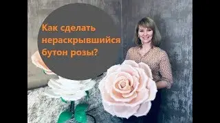 Нераскрывшийся бутон розы из изолона/ Бесплатный мастер-класс/ Ростовые цветы