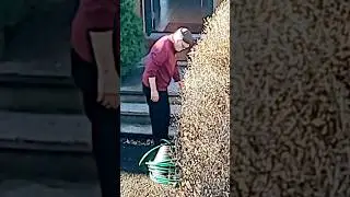 Neighbor Activities