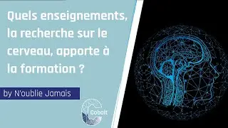 #INNOVATION  Quels enseignements la recherche sur le cerveau apporte à la formation
