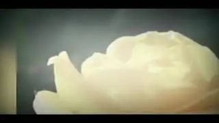 КРАСОТА ЦВЕТОВ!..