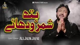 HATH SHIMAR WADHAYE DUR LUTAN KEETAY - Ali Jaun Jafari - New Noha 2024 -1446 | Muharram 2024 -1446