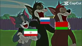 WW2 but it’s Tom and jerry #tomandjerry #ww2 #fighting