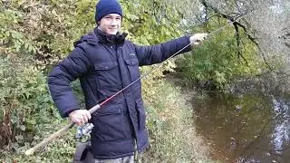 кароч новое видео