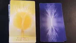 Oracle Review   Soul Trees Oracle Cards