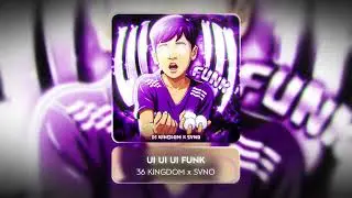 UI UI UI FUNK - 36 KINGDOM x SVNO