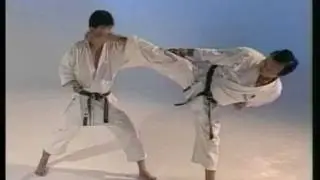 Basics 7 - K Enoeda wmv