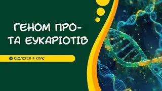 Біологія 9 клас  Геном про-  та еукаріотів