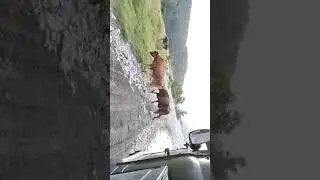 33 водопада обратный путь, отдых а Шепси