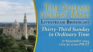 Thirty-Third Sunday in Ordinary Time – November 17, 2024
