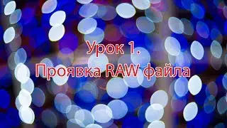 Урок 1.  Проявка RAW файла