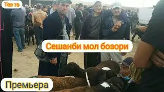 дехконобод мол бозори нархлари сешанби мол бозори нархлари
