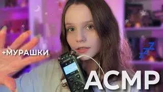 АСМР Полный Релакс с ТАСКАМОМ 🪷⭐ Таппинг, Скретчинг, Звуки Рта
