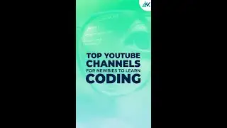 Best YouTube Channels for Newbies to Learn Coding in 2024