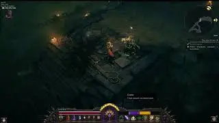 Wolcen#Качаем мага на яде