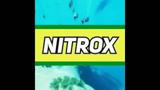 tutorial of how to make Subnautica multiplayer